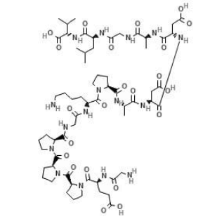 bpc-157, also known as body protection compound or bepecin, is a synthetic pentadecapeptide consisting of amino acids gly-glu-pro-pro-pro-gly-lys-pro-ala-asp-asp-ala-gly-leu-val