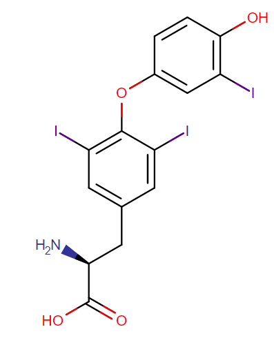 t3 liothyronine is a synthetic thyroid hormone replacement therapy used in clinical research trials to treat hypothyroidism, suppress thyroid stimulating hormone, and diagnose hyperthyroidism